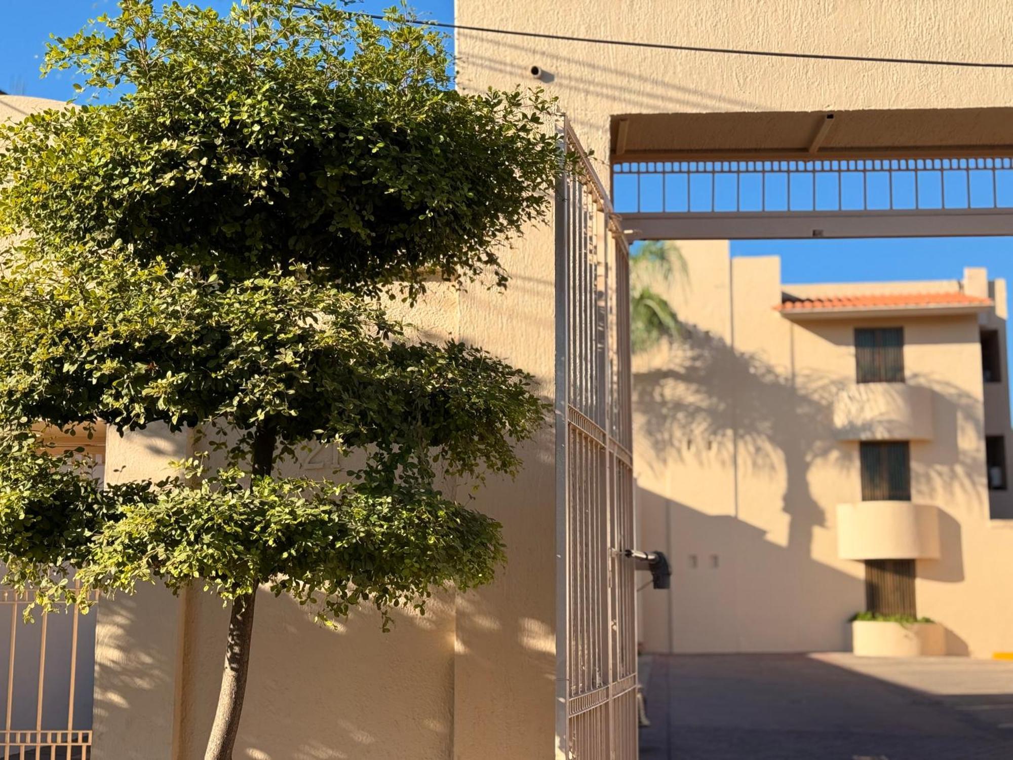 Villa La Palma Hotel تيكيلا المظهر الخارجي الصورة