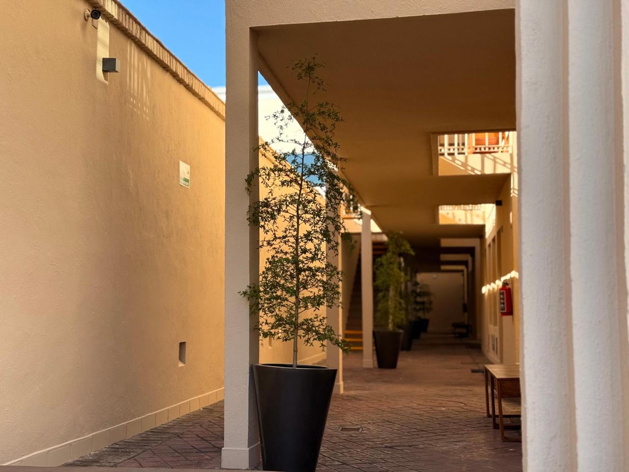 Villa La Palma Hotel تيكيلا المظهر الخارجي الصورة