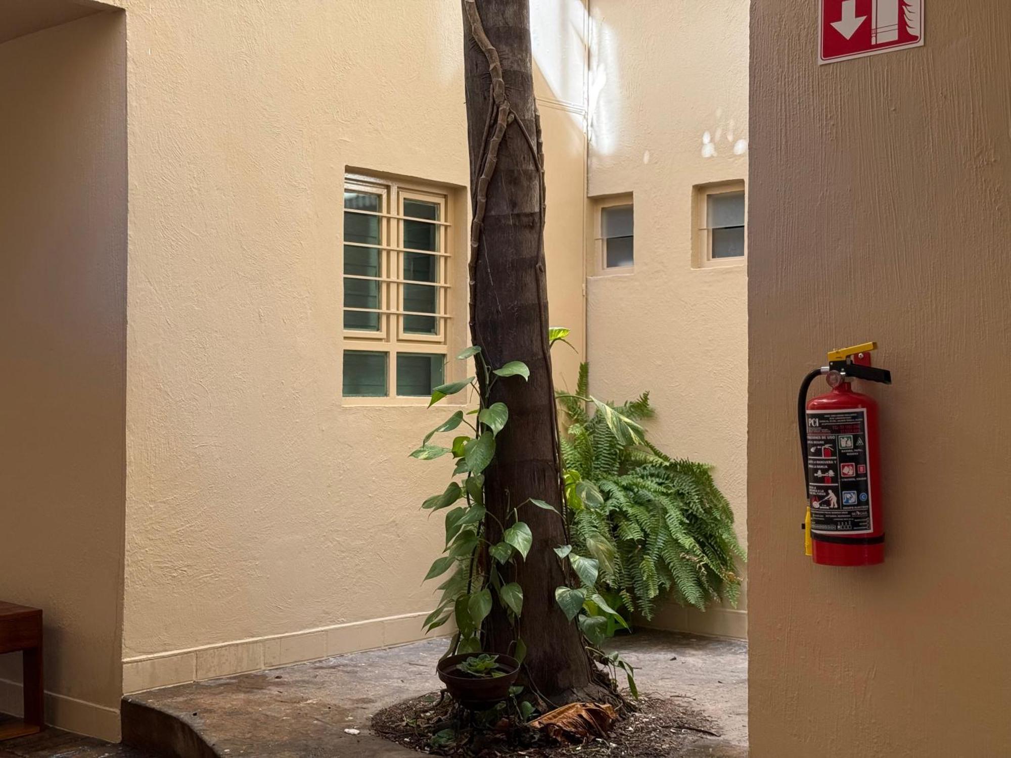 Villa La Palma Hotel تيكيلا المظهر الخارجي الصورة