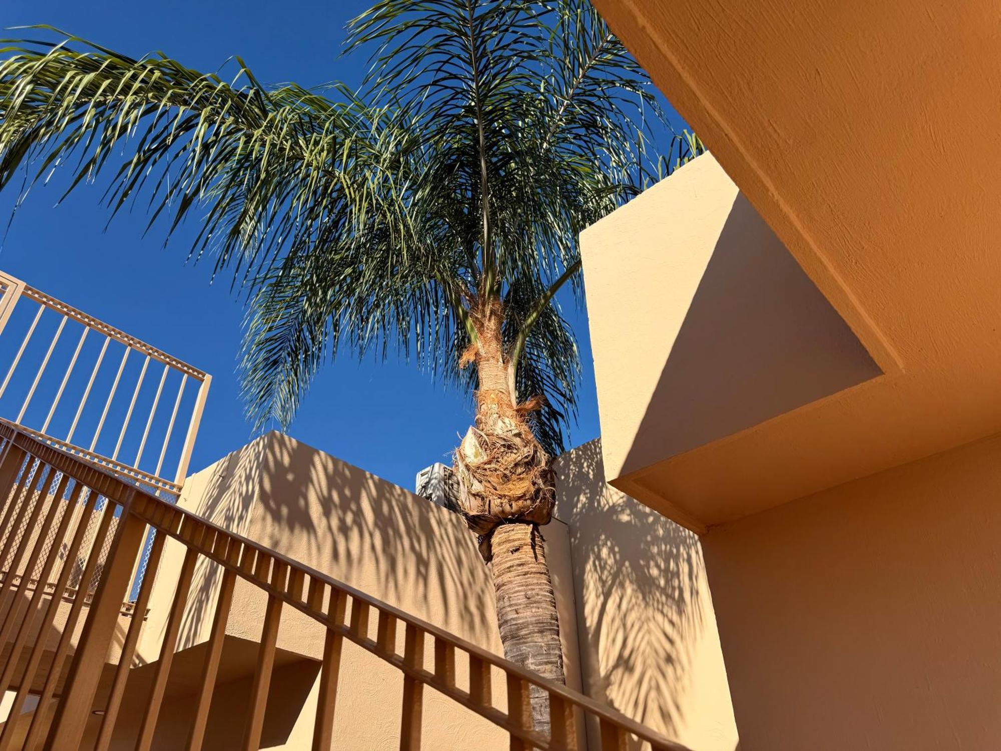 Villa La Palma Hotel تيكيلا المظهر الخارجي الصورة