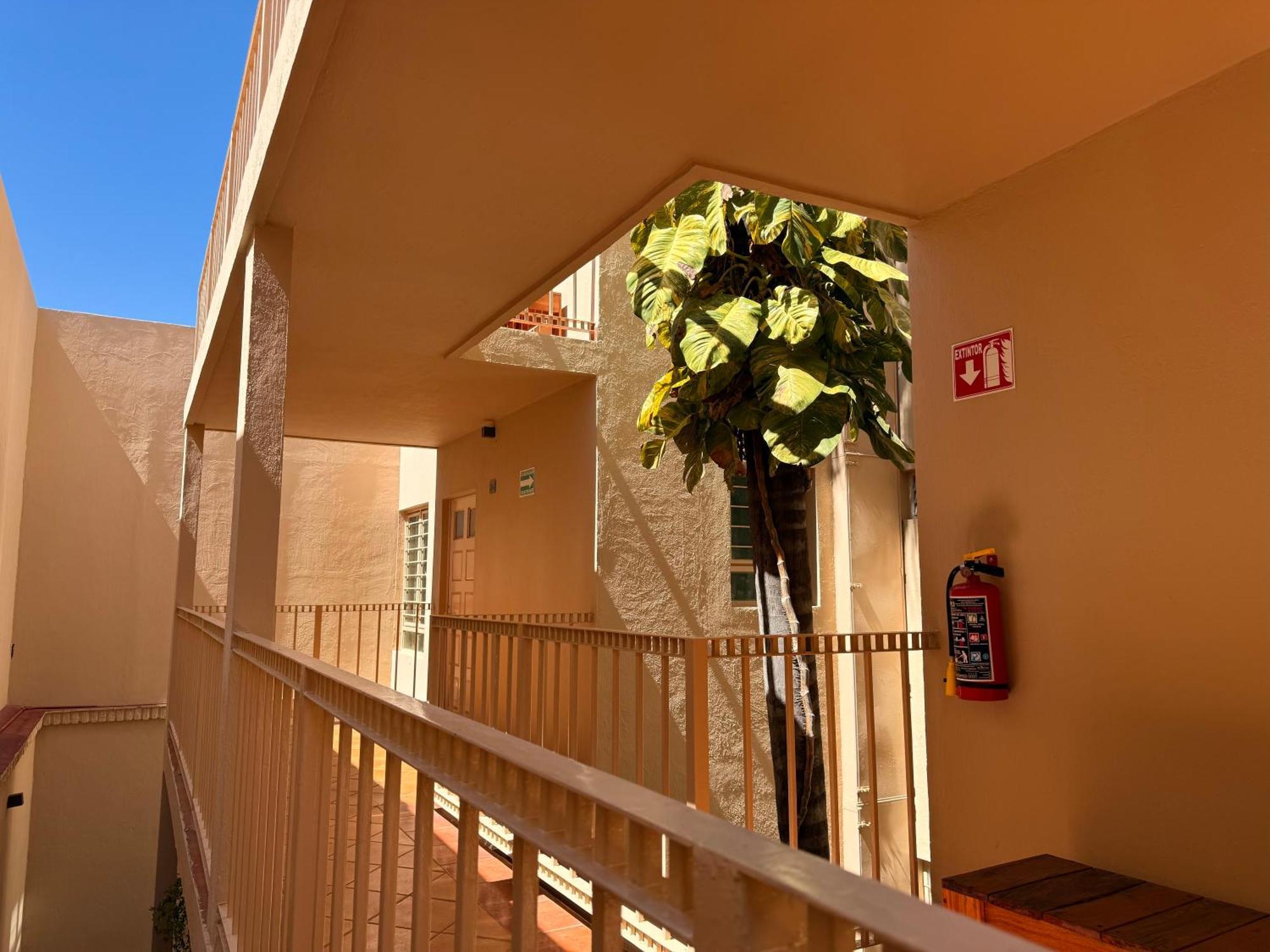Villa La Palma Hotel تيكيلا المظهر الخارجي الصورة